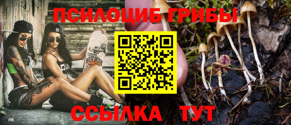 Стерлитамак  Галлюциногенные грибы Cubensis  где продают   Вход с VPN 
